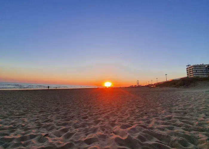 Refait A Neuf, 4 Couchages, Immediate - Fr-1-224c-135 *