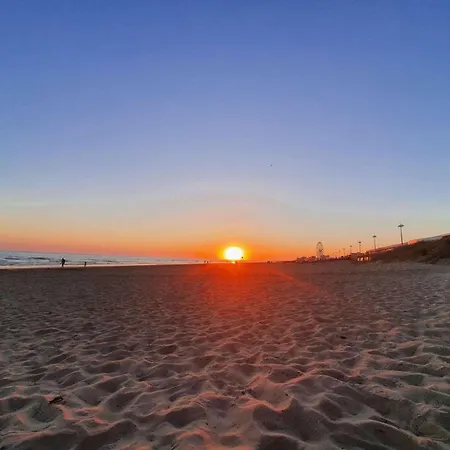 Studio Refait A Neuf, 4 Couchages, Plage Immediate - Fr-1-224C-135 *